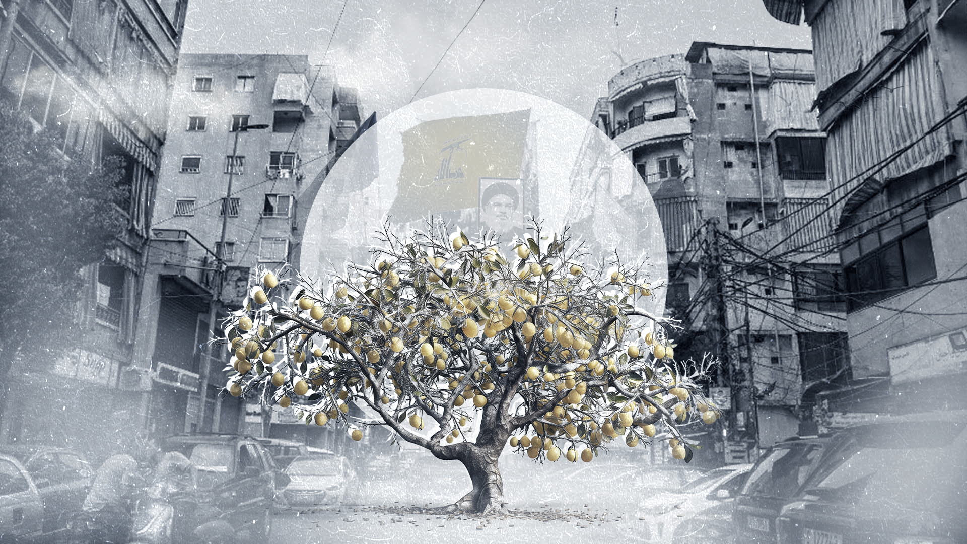 A Suburb in Full: From Lemon Blossoms to Hezbollah